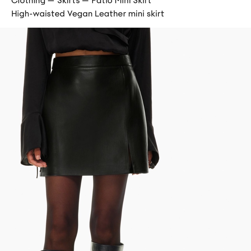 Aritzia Patio Mini Skirt